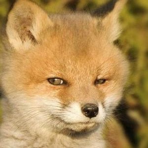 Meet your Posher, Jay